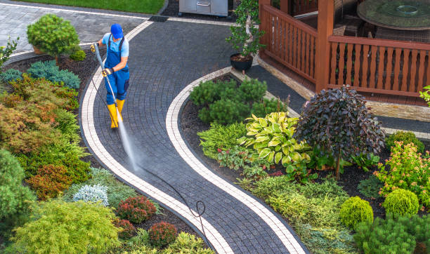 Best Roof Power Washing Services  in Sweeny, TX