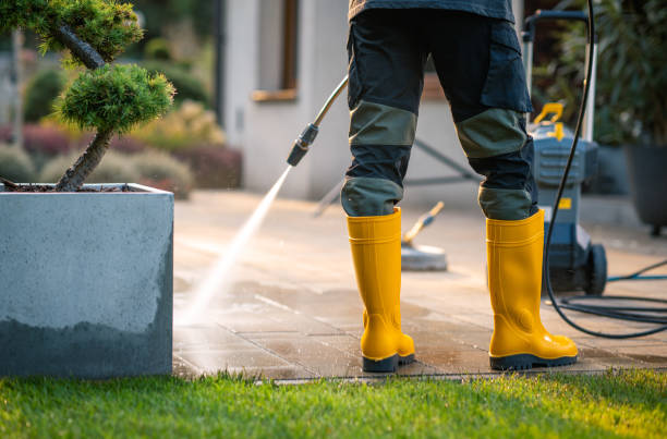 Best Deck Cleaning Services  in Sweeny, TX